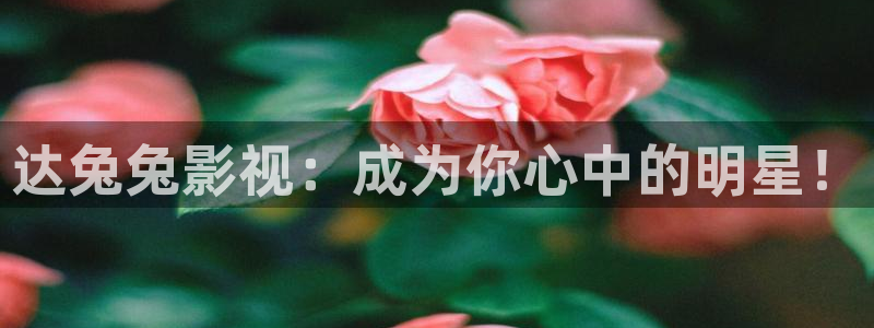 野草莓电影在线观看