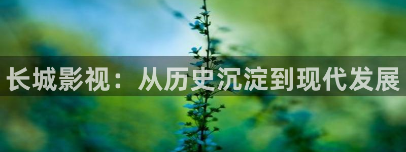 草莓影视app最新版：长城影视：从历史沉淀到现代发展
