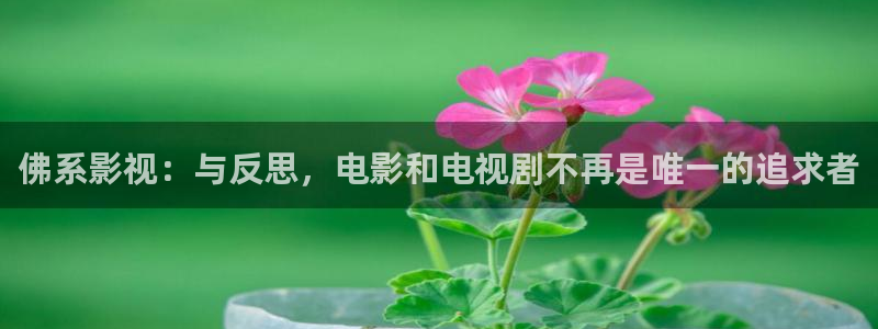 草莓色影院：佛系影视：与反思，电影和电视剧不再是唯一的追求者